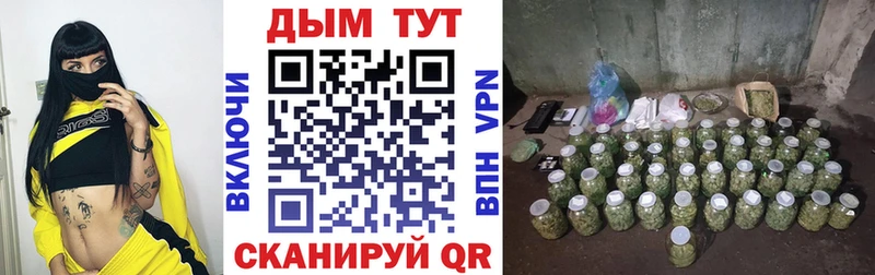 где купить наркотик  Темников  Канабис ГИДРОПОН 